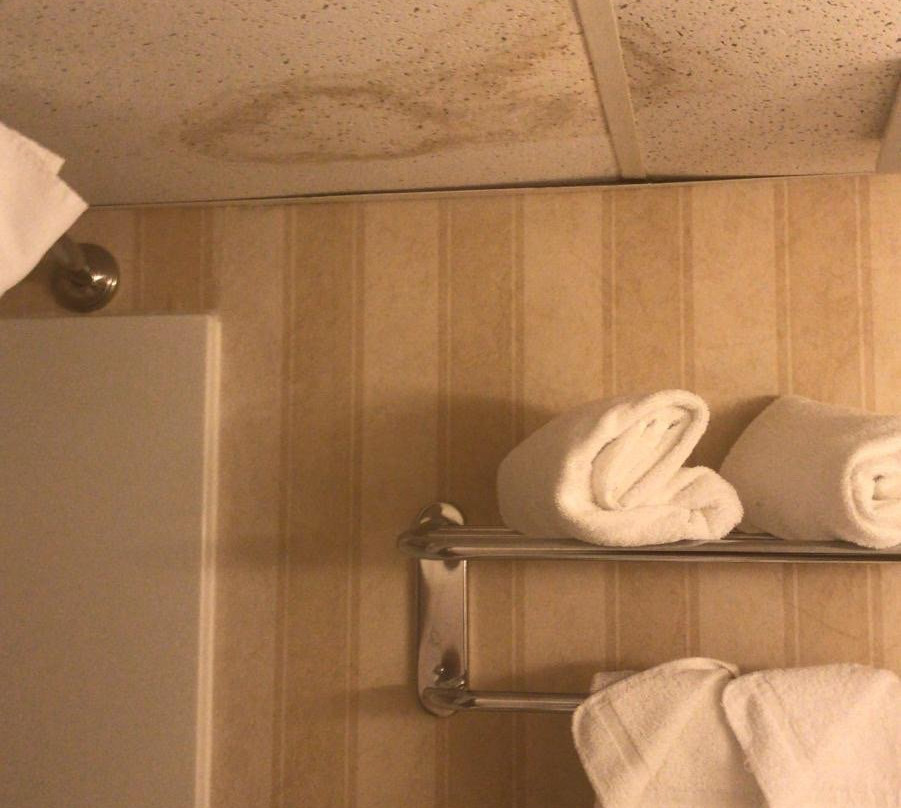 Quality Inn & Conference Centre主图