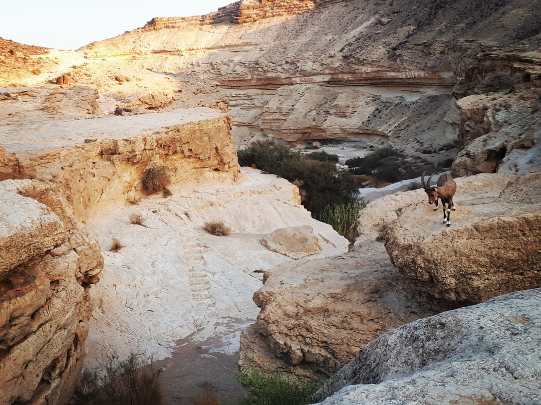 Ein Yorkeam-Yeruham必去景点
