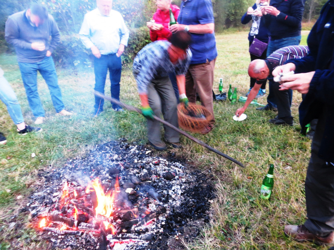 Baegaebong Hotel主图