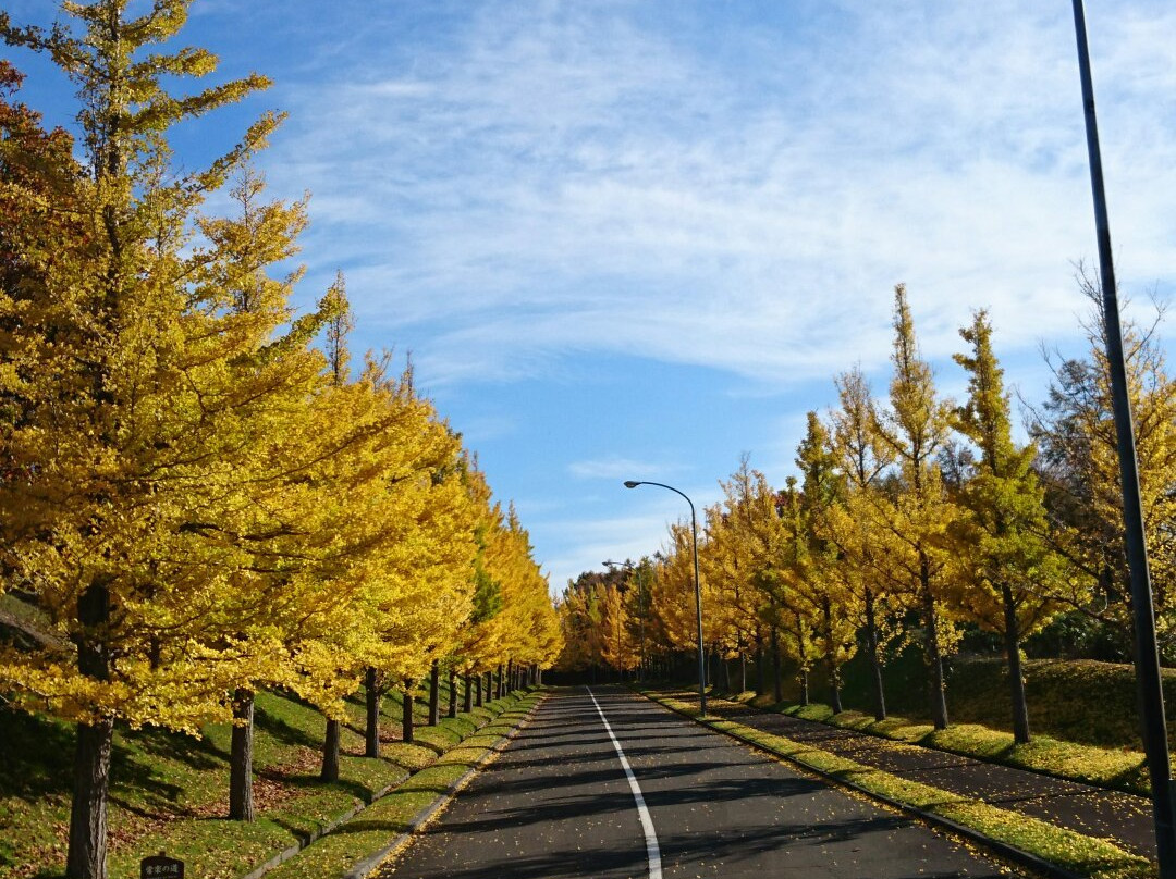 Toda Memorial Park Cemetery-石狩市必去景点