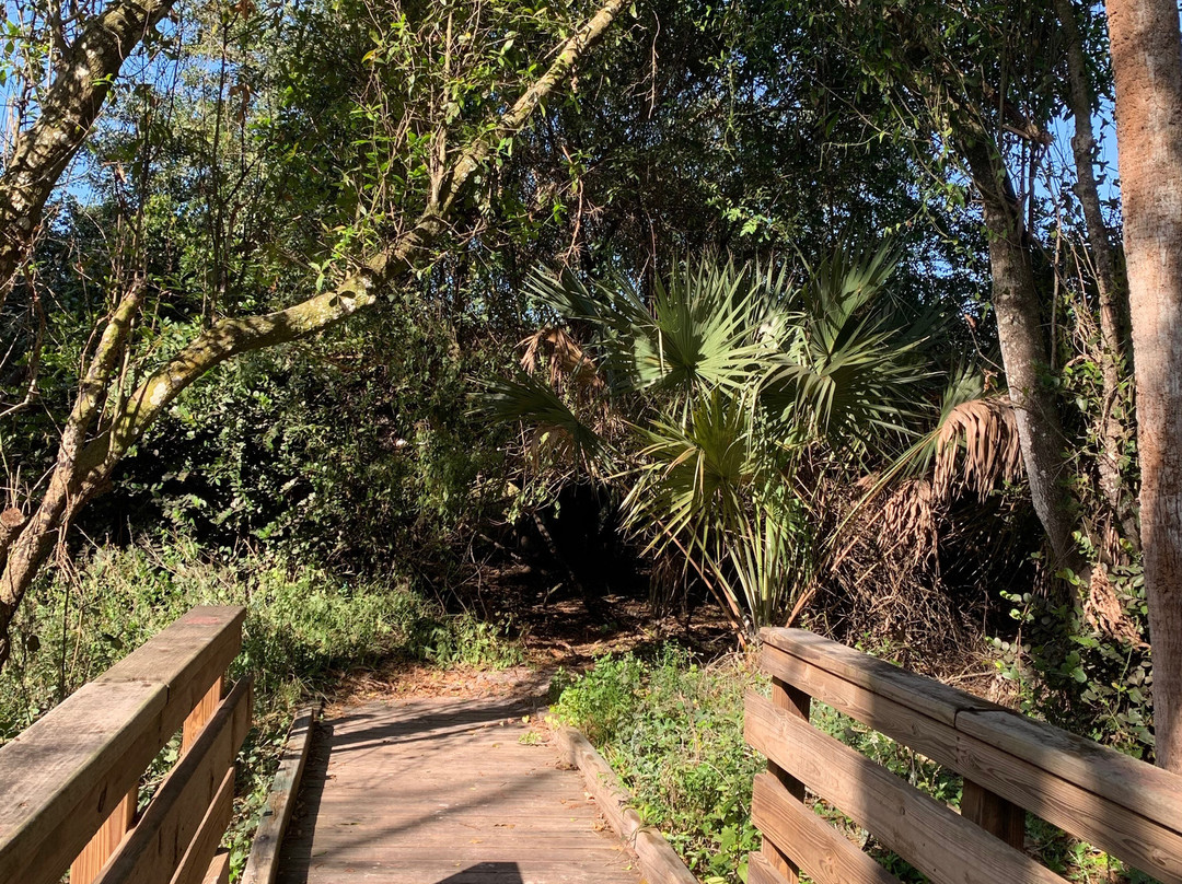 Cullum’s Bonita Trail-博尼塔斯普林斯必去景点