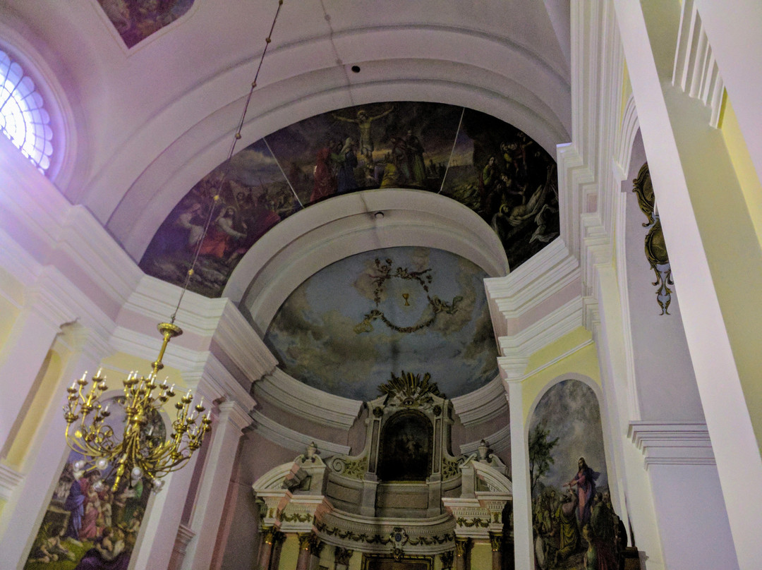 Roman Catholic church of the Blessed Virgin Mary-Daugavpils必去景点