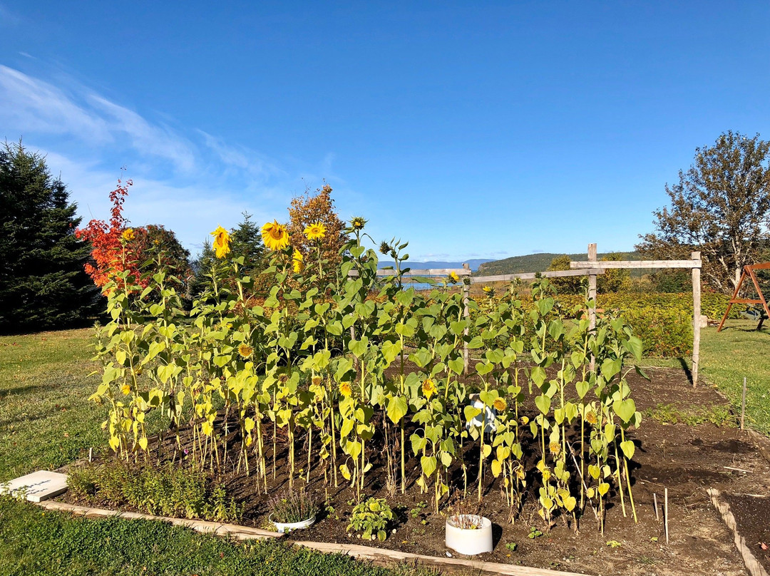 Gîte la Veilleuse主图