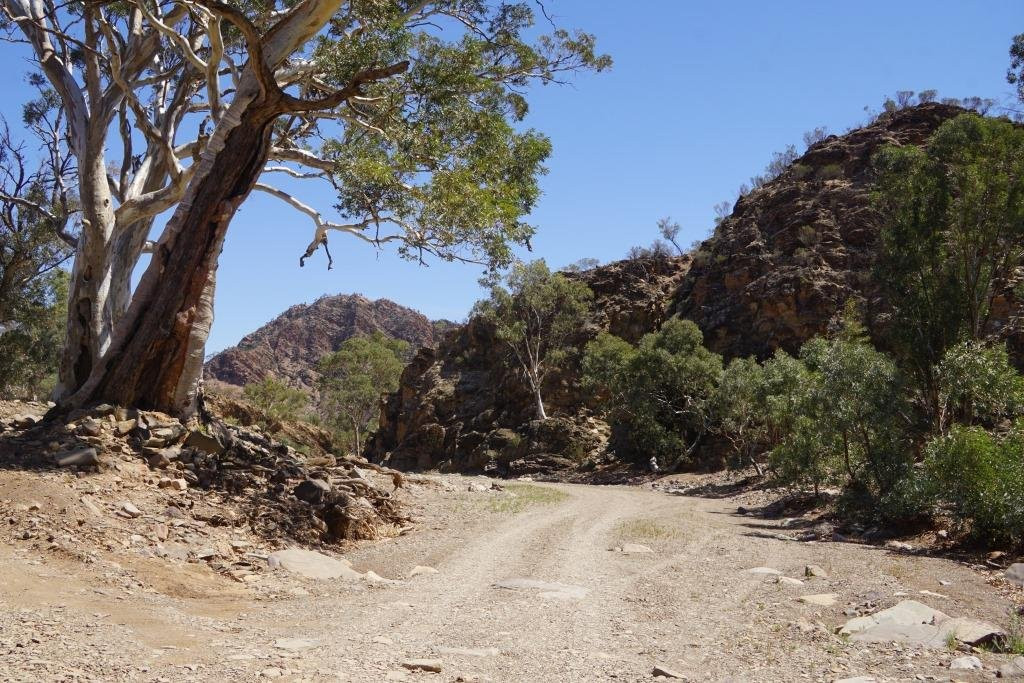 Brachina Gorge Geological Trail景点图片