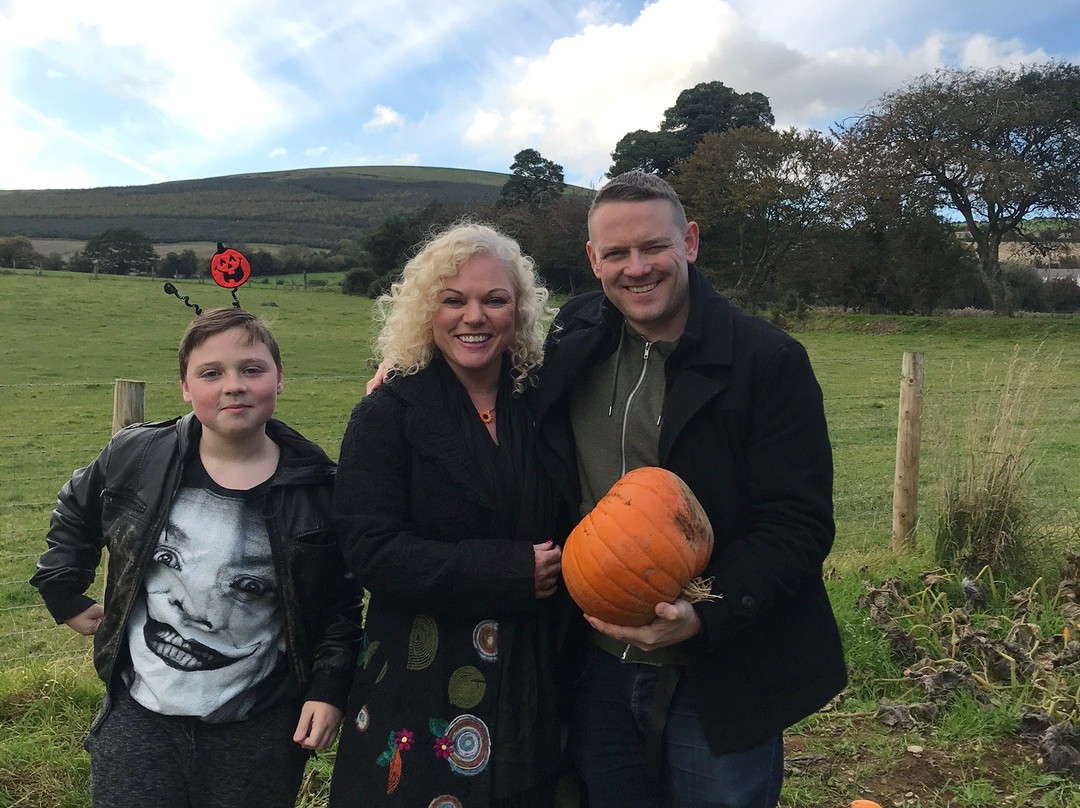 Tinahely Farm-Wicklow必去景点
