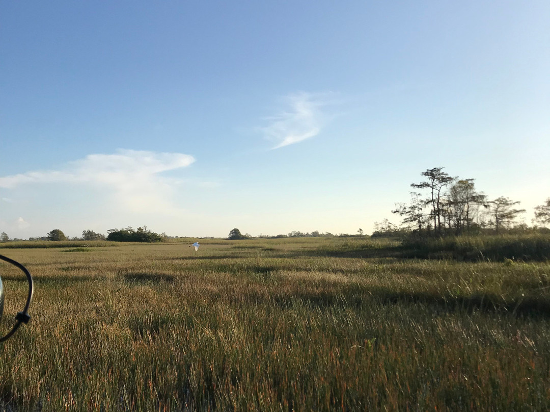 Tippy's Outpost Airboat Rides-奥乔皮必去景点