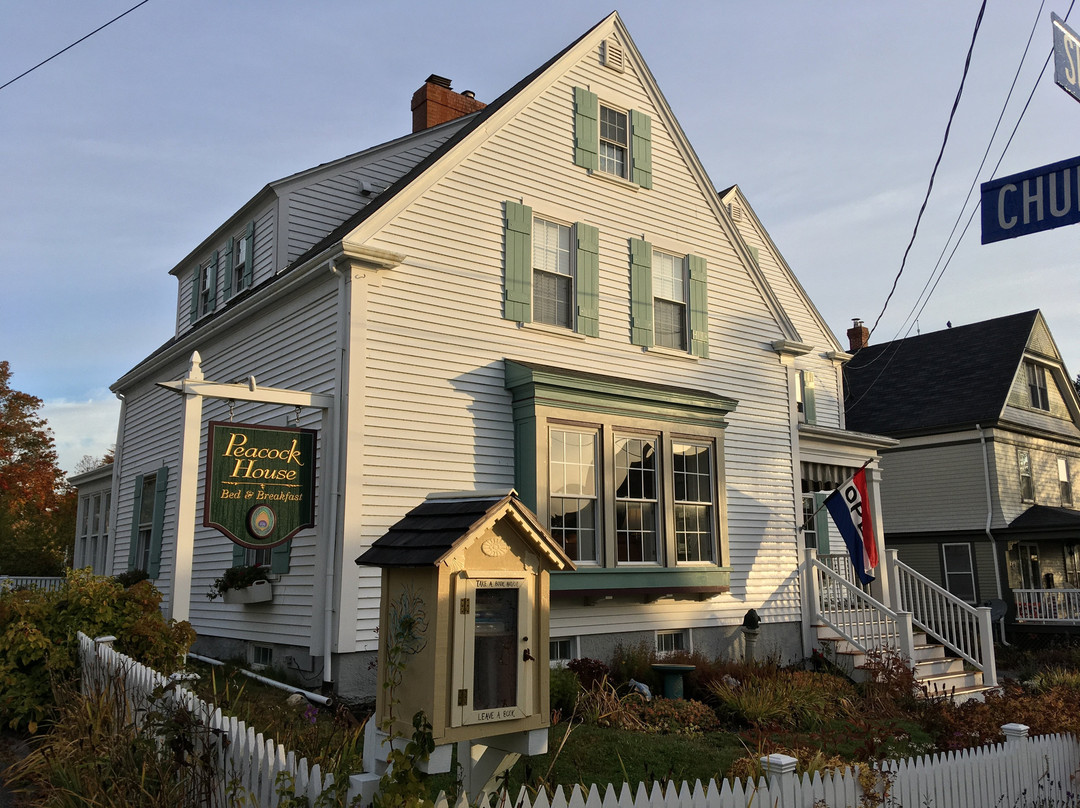 Peacock House Bed & Breakfast主图