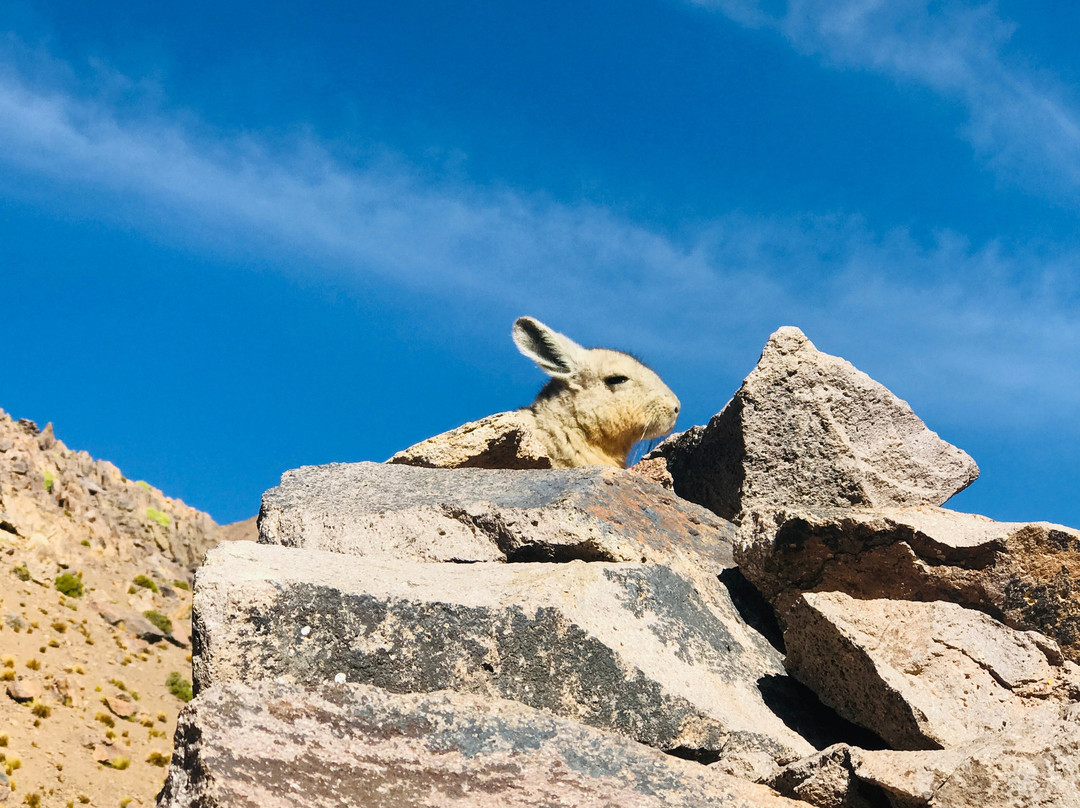 Inca Frontiers-阿雷基帕必去景点