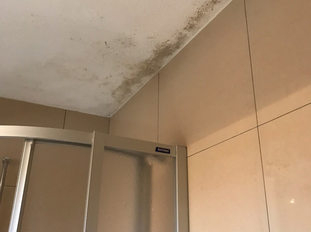 Hotel du Faucon主图