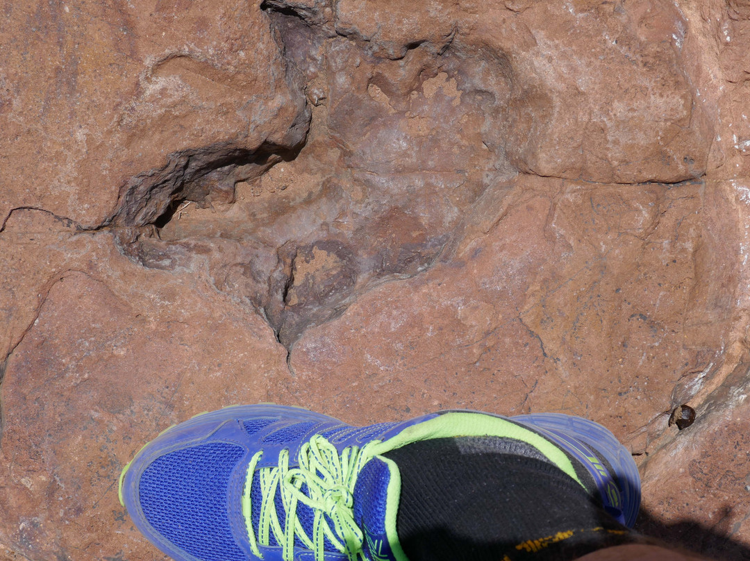 Dinosaur Tracks - National Monument NAMIBIA-Kalkfeld必去景点