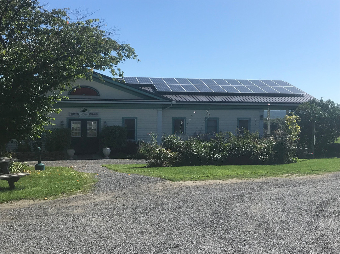 Hunt Country Vineyards-Branchport必去景点