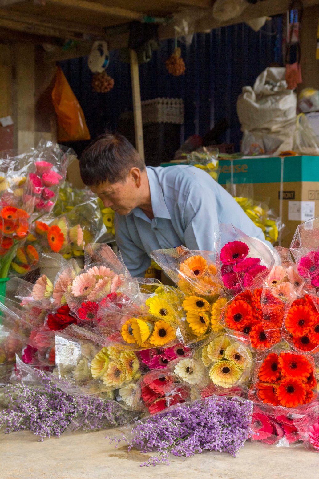 韦斯特伍德高地旅舍 - 青年旅舍-浴室