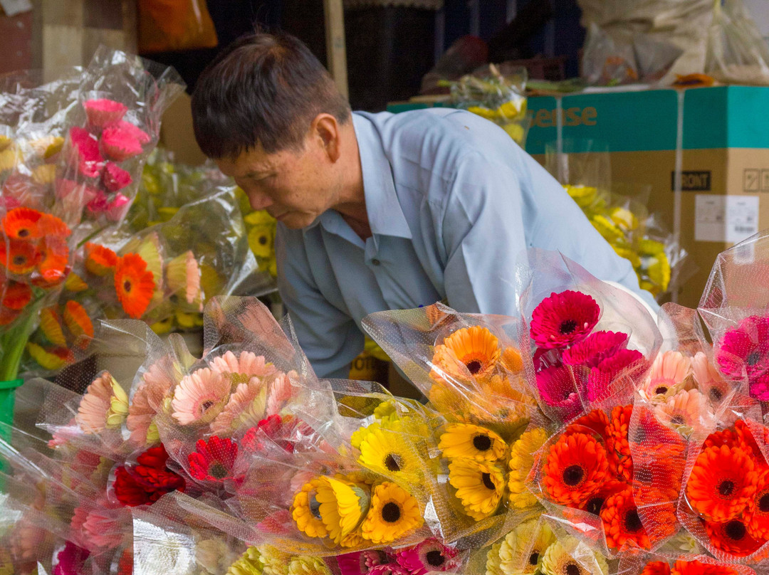 韦斯特伍德高地旅舍 - 青年旅舍主图
