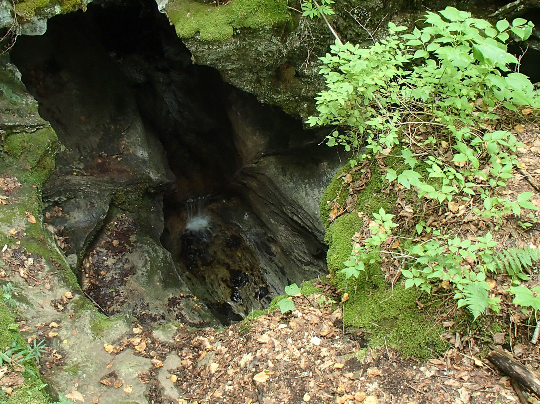 Lusk Cave景点图片