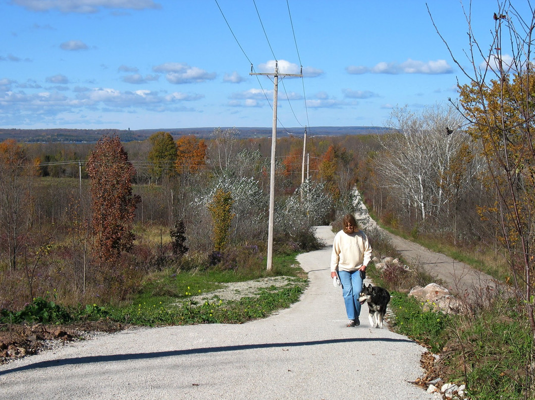 Tom Thomson Trail景点图片