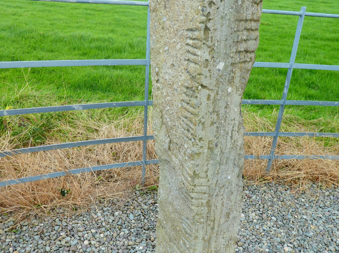 Ogham Stones-基拉尼必去景点