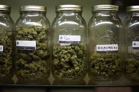The Weed Store景点图片