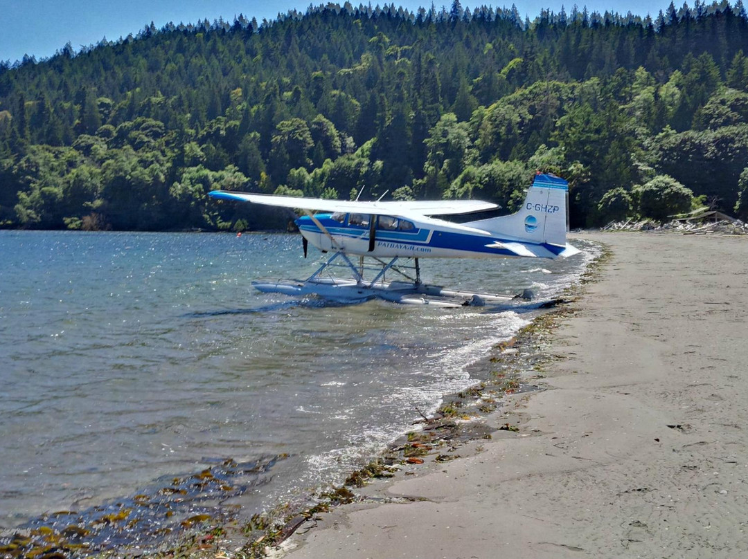 Pat Bay Air Floatplane Tours景点图片