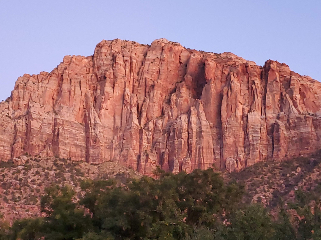 Desert Pearl Inn主图