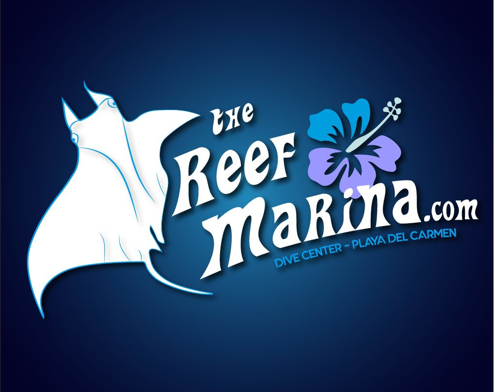 The Reef Marina
