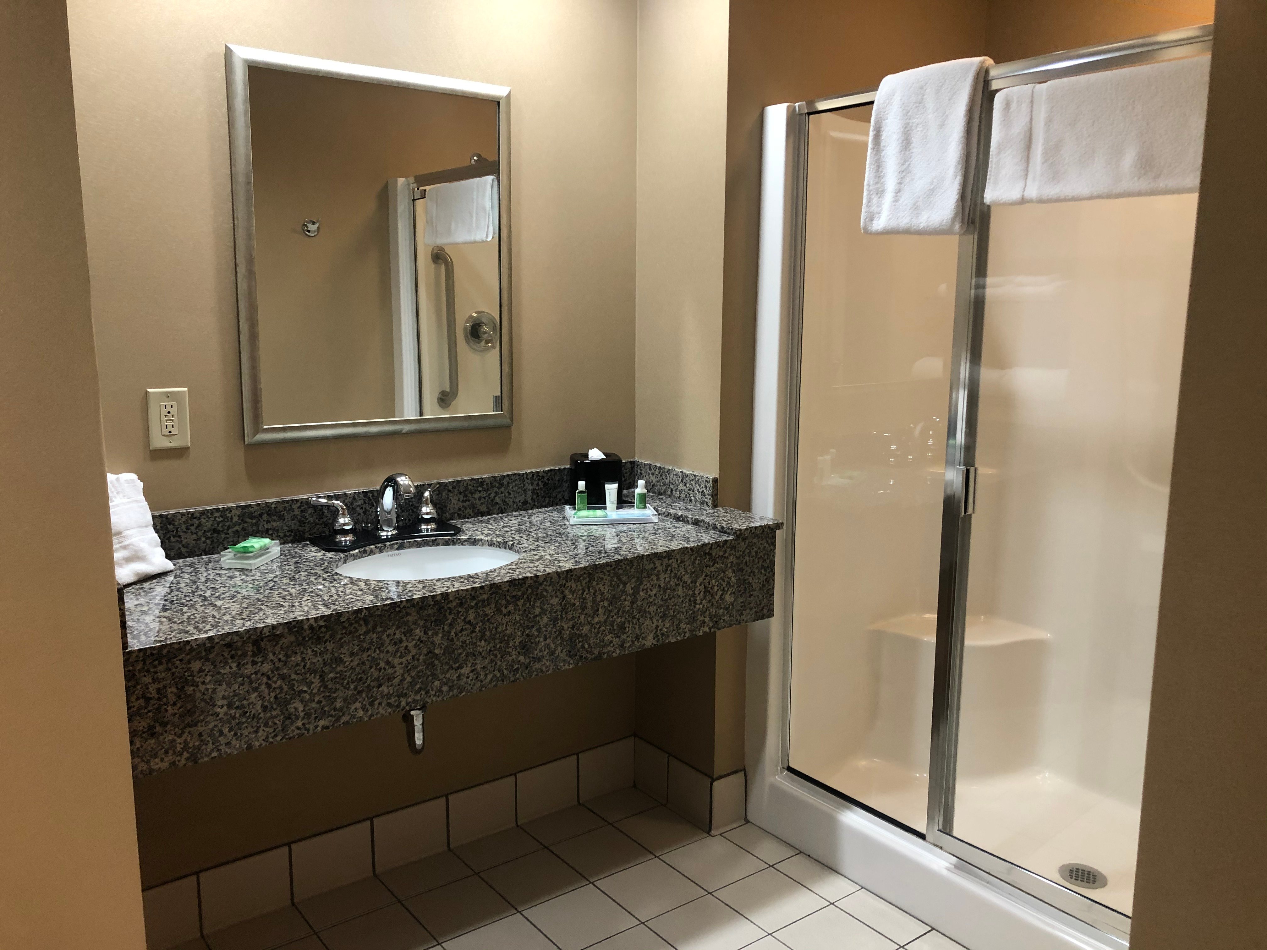 Holiday Inn & Suites St. Paul NE - Lake Elmo, an IHG hotel-浴室