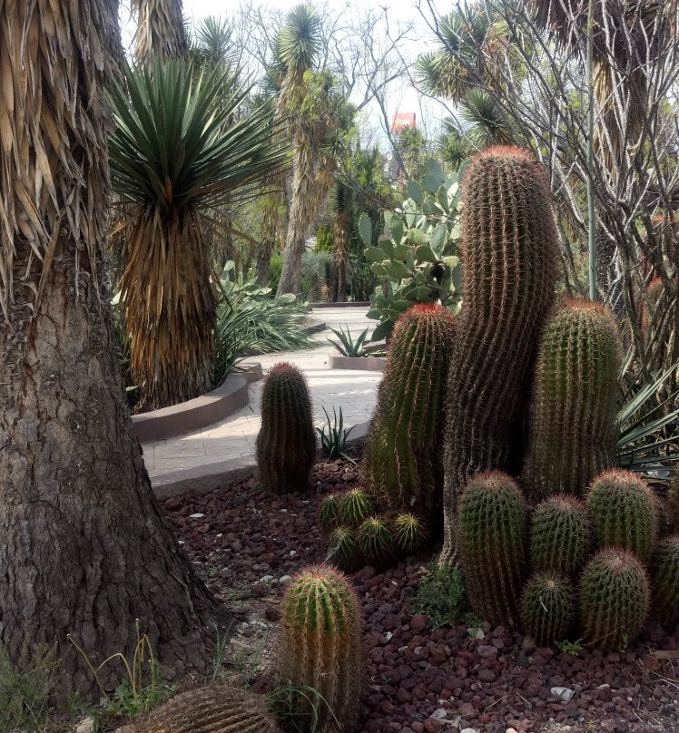 Parque Ecologico El Chapulin景点图片