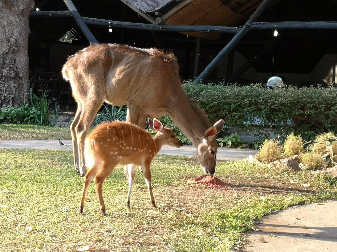 Protea Hotel Lusaka Safari Lodge-浴室