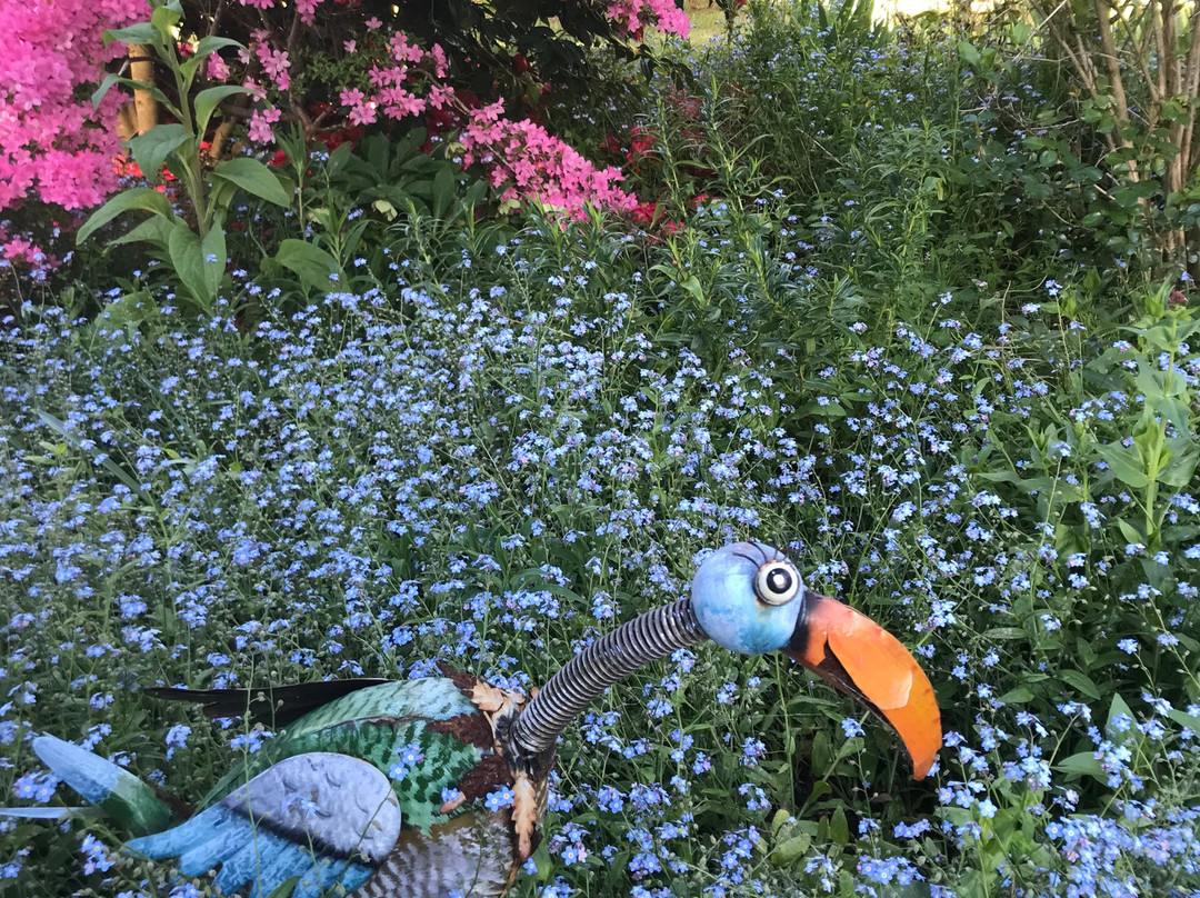 Tanglewood House主图