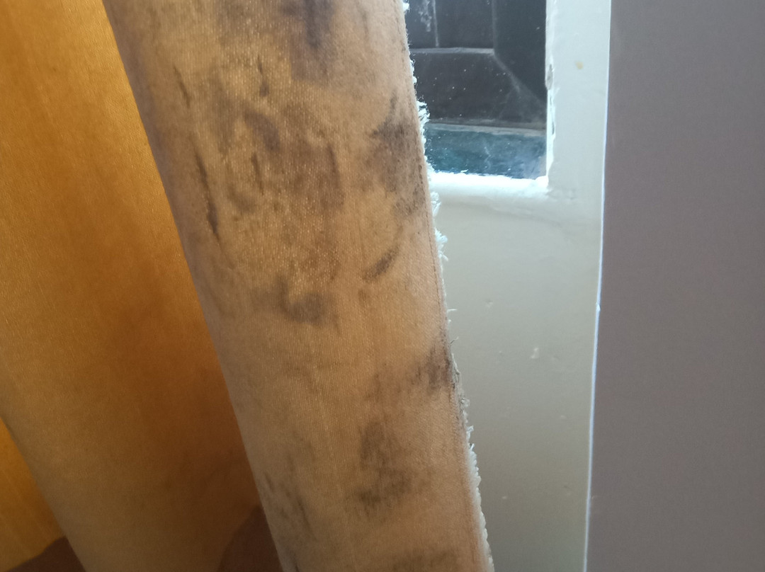 Hotel Satpura Safari主图