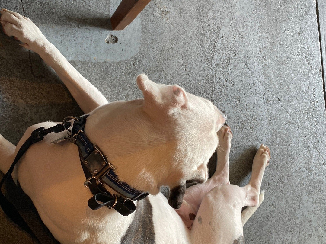 Persimmon Hollow Brewing Company-迪兰必去景点