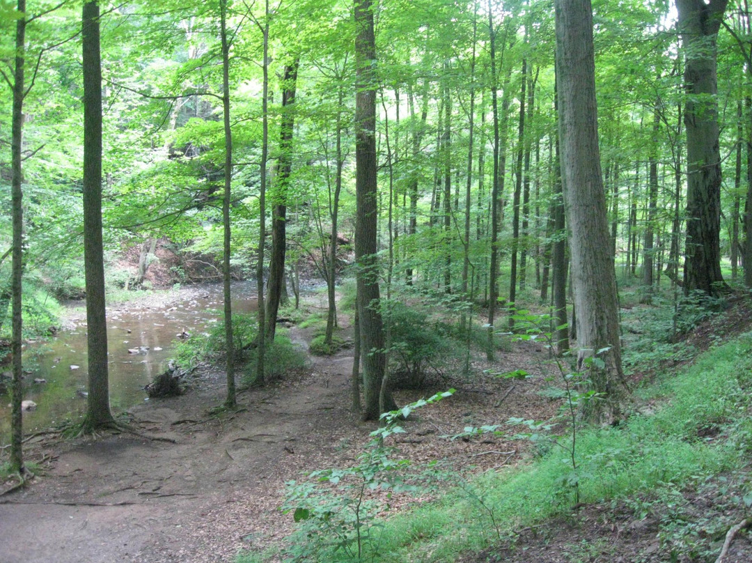 Watchung Reservation