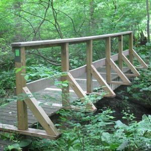 Closter Nature Center景点图片