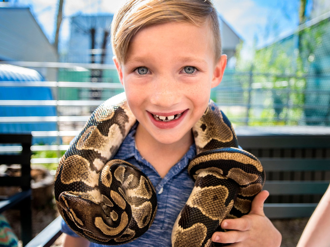 Branson's Promised Land Zoo-布兰森必去景点