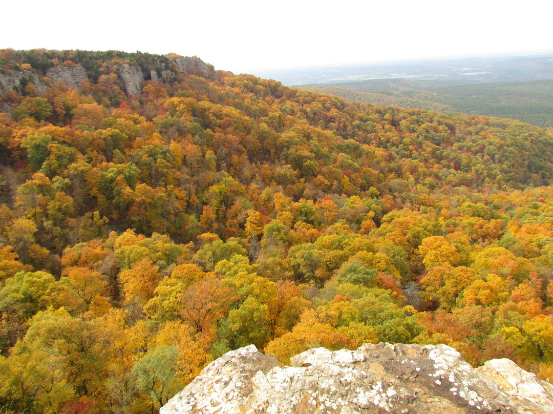 Mount Magazine State Park景点图片