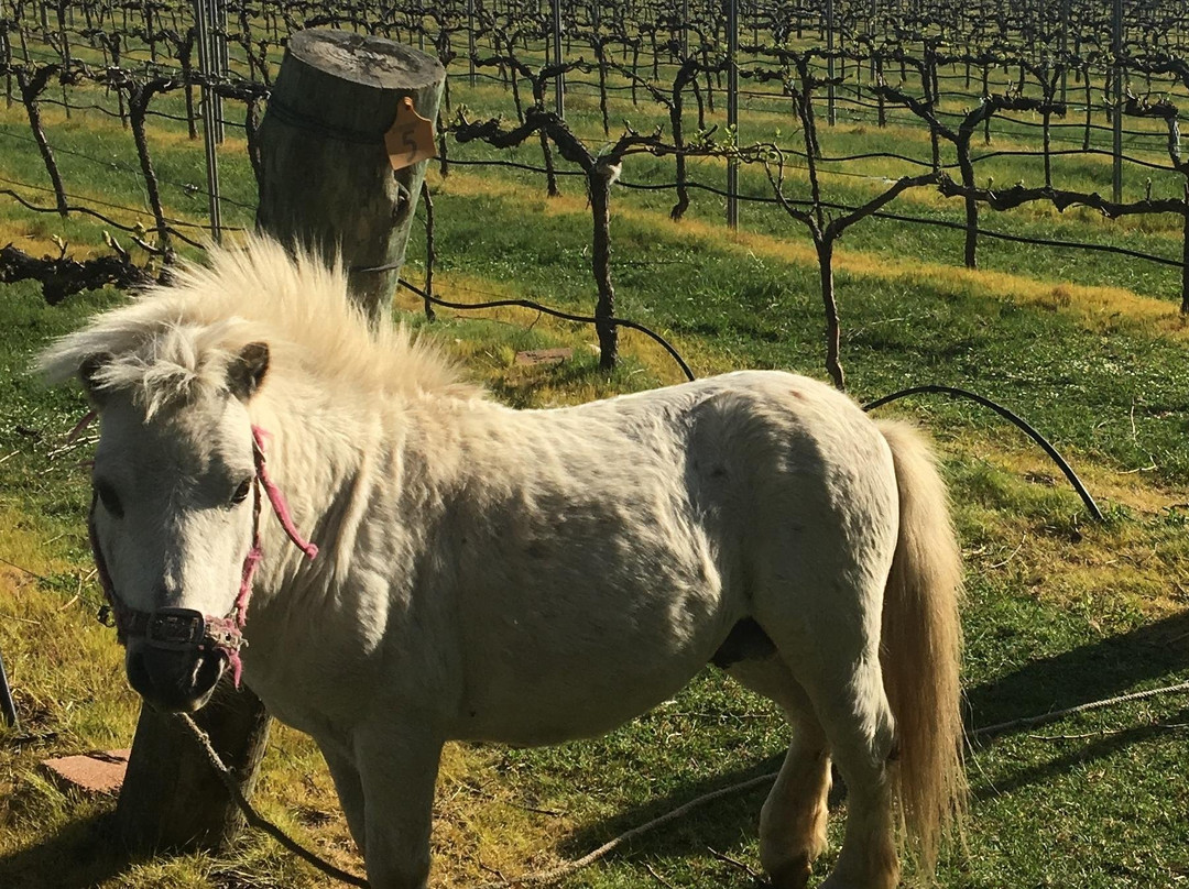 Highland Vines-鲍勒尔必去景点