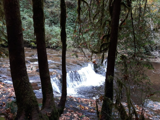 Sweet Creek Falls-Mapleton必去景点