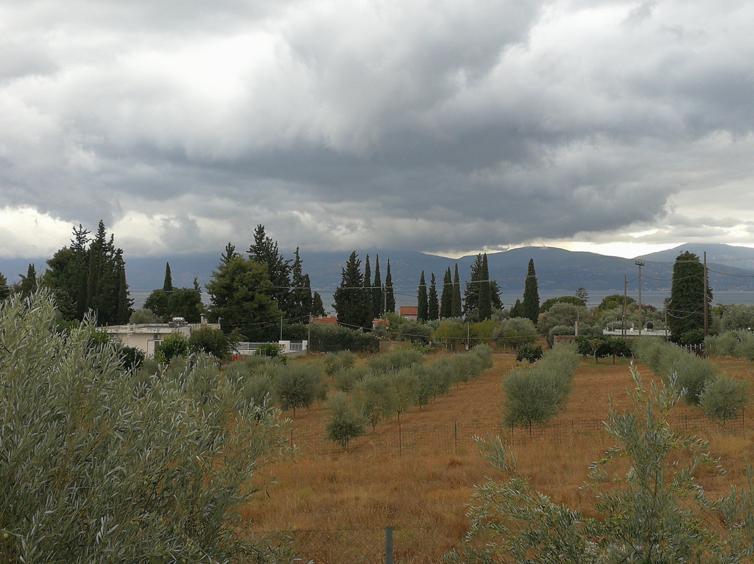 Miramare Hotel主图