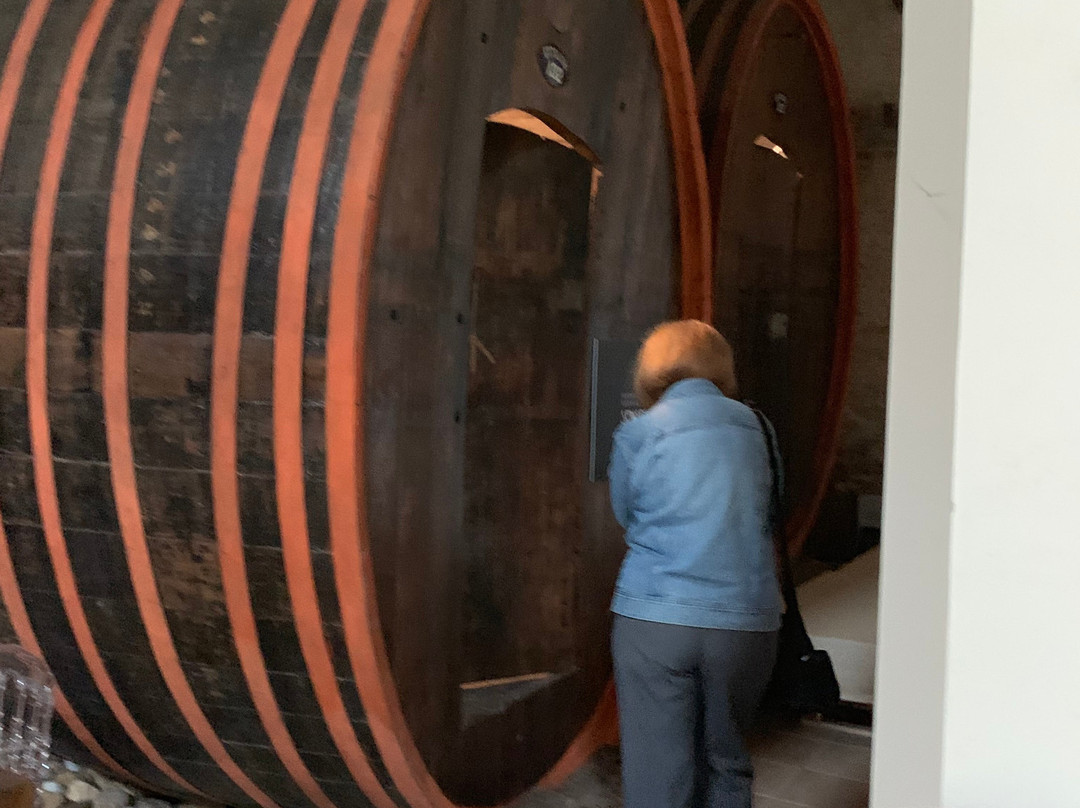 Grotte Ciavolich Wine Tour Miglianico景点图片