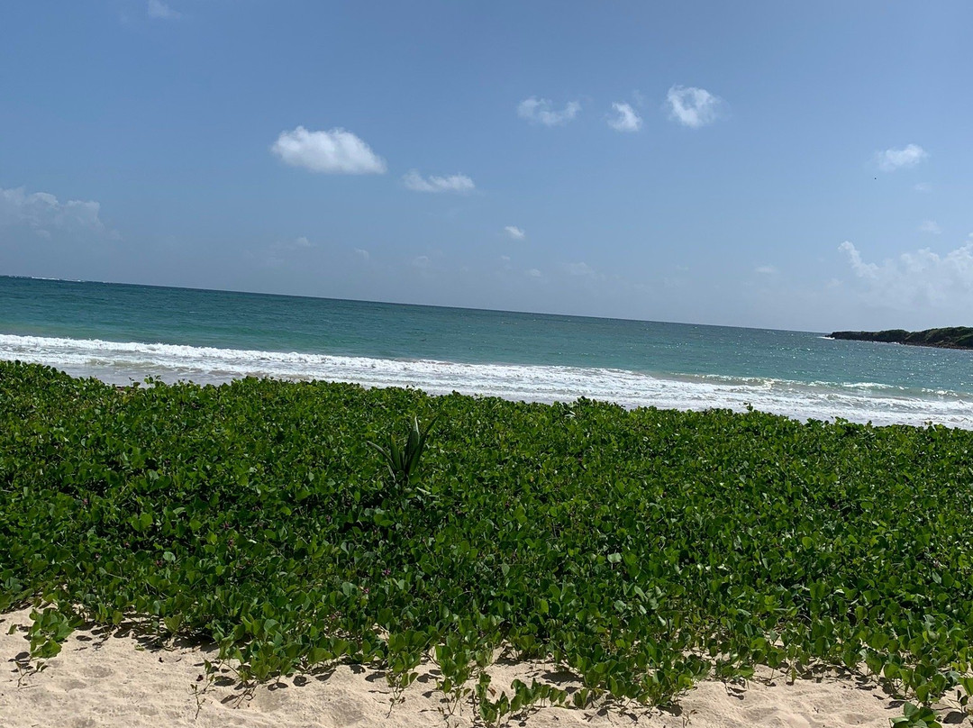 Ranch Anse Macabou-Le Vauclin必去景点