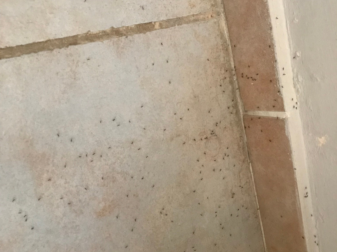 王子酒店及别墅主图