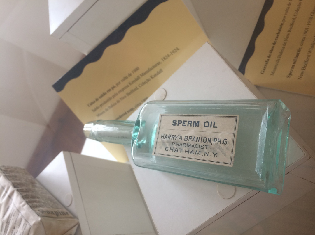 Torre de Belem-明德卢必去景点