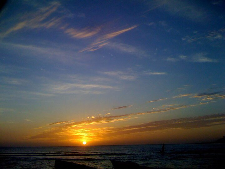 Buttonwood JA - Tours-瑰宝滩必去景点