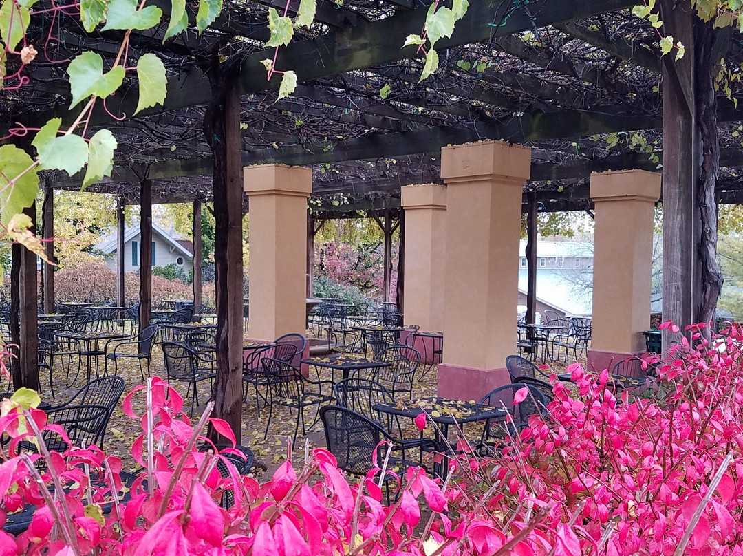 Augusta Winery景点图片
