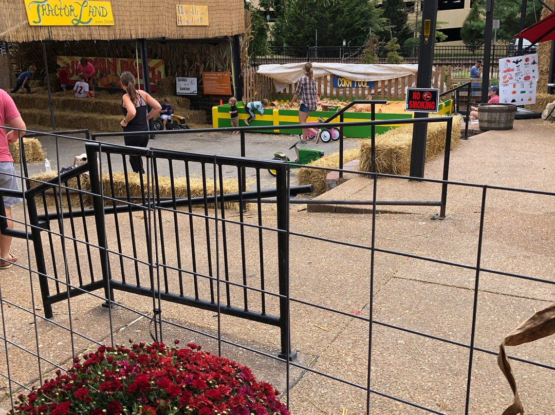 Kirkwood Farmers’ Market景点图片