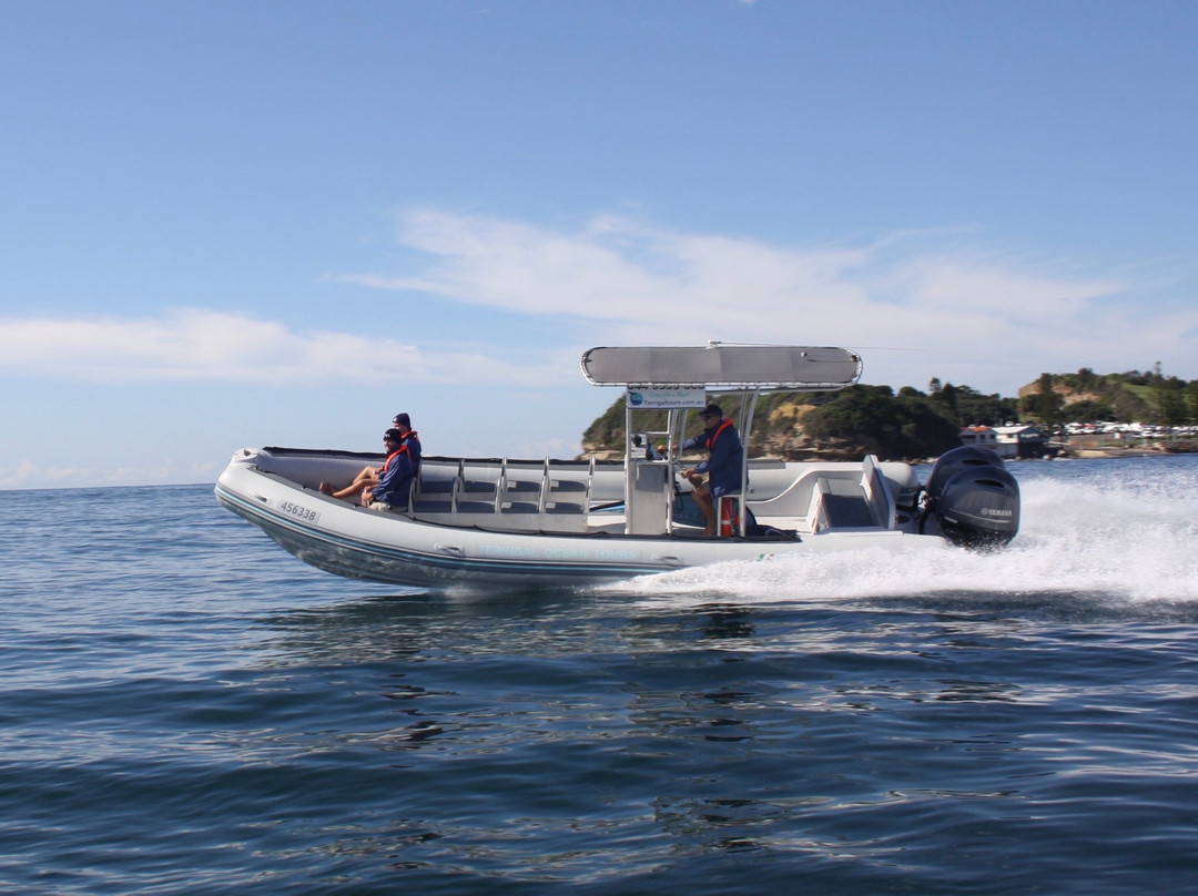 Terrigal Ocean Tours景点图片