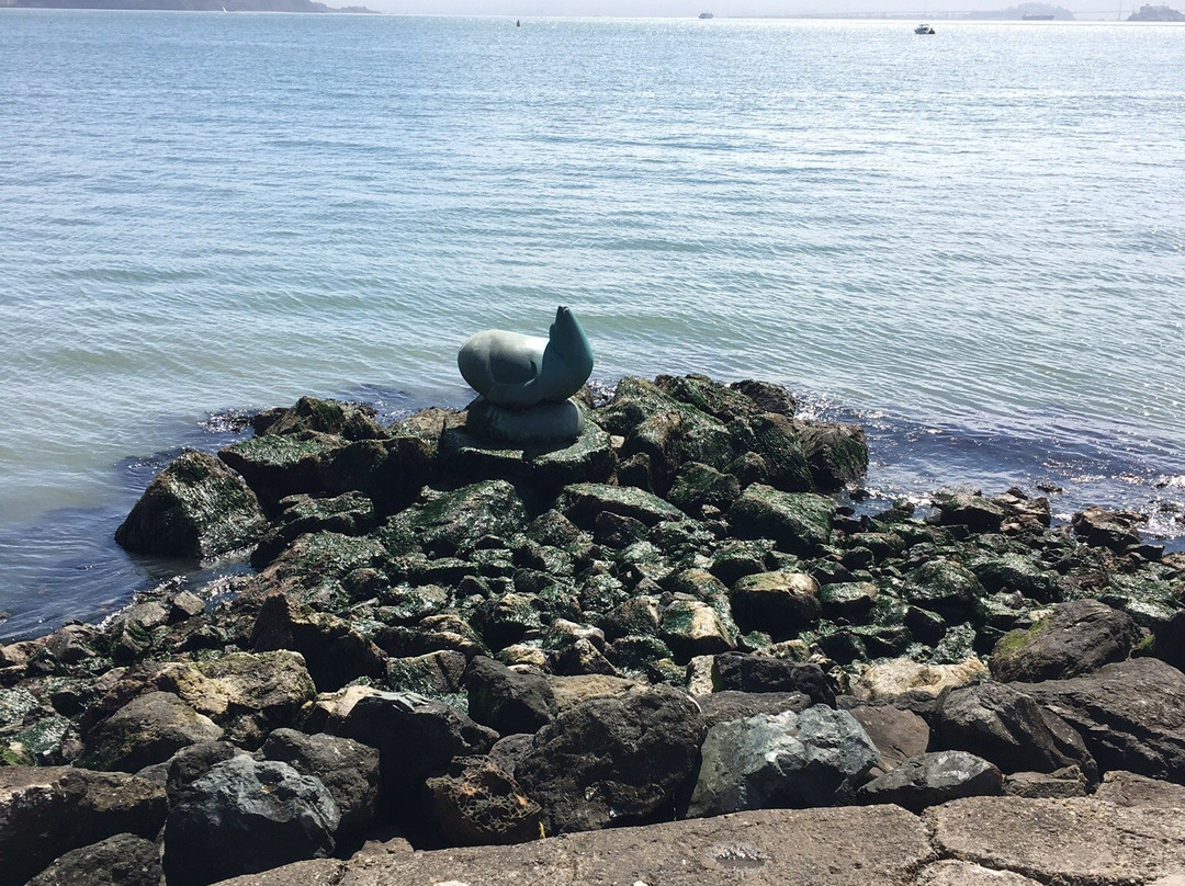 Sea lion sculpture景点图片