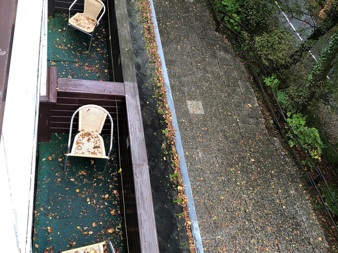 Moorland Hotel am Senkelteich主图