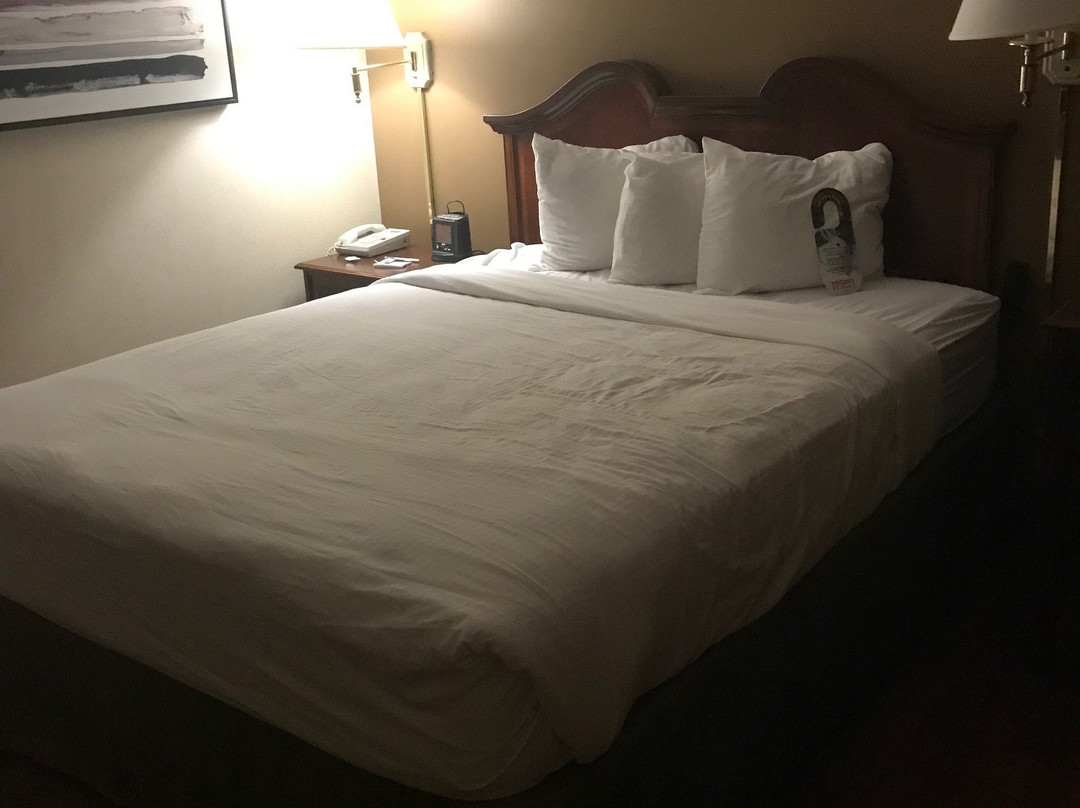 Auburn Place Hotel & Suites主图