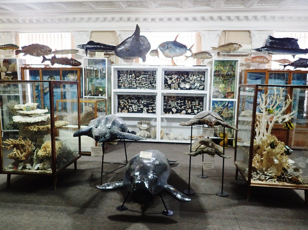 Museum of Marine Flora and Fauna at Research Institute YUGNIRO