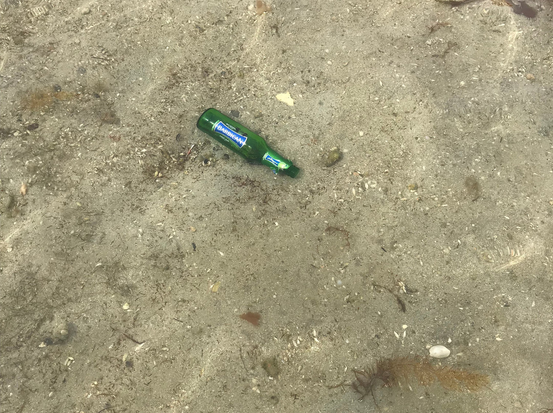 Aquamarine Kuwait Resort主图